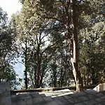 Silent Trail -Jilling Sanctuary