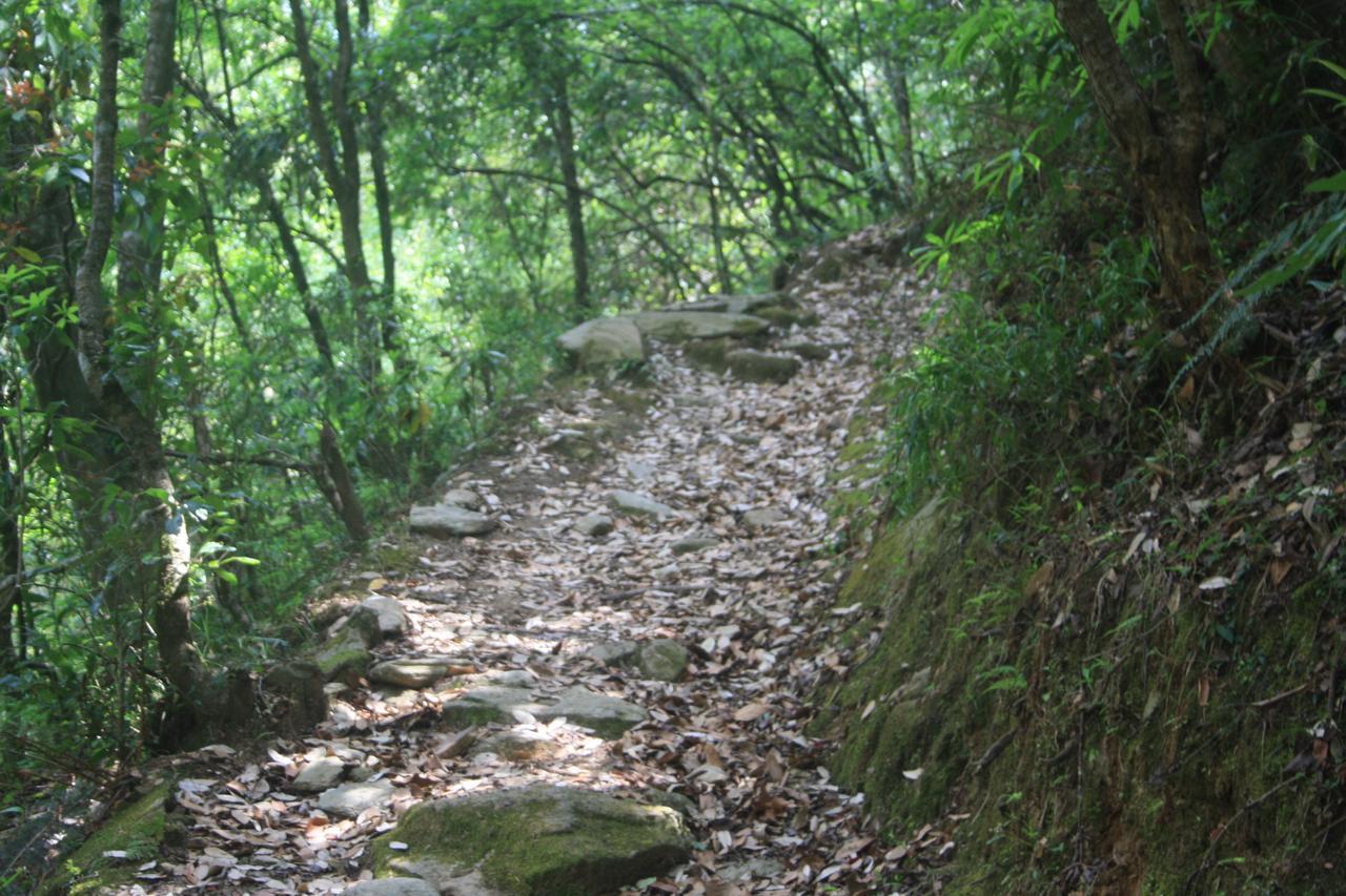 Resort Silent Trail -jilling Sanctuary 2*